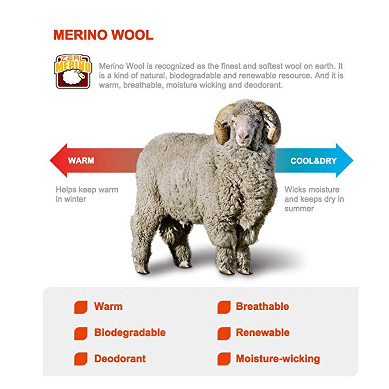 Zealwood-男性と女性のための厚いメリノウールスポーツ - Thermal Sock Wool のレビューと価格