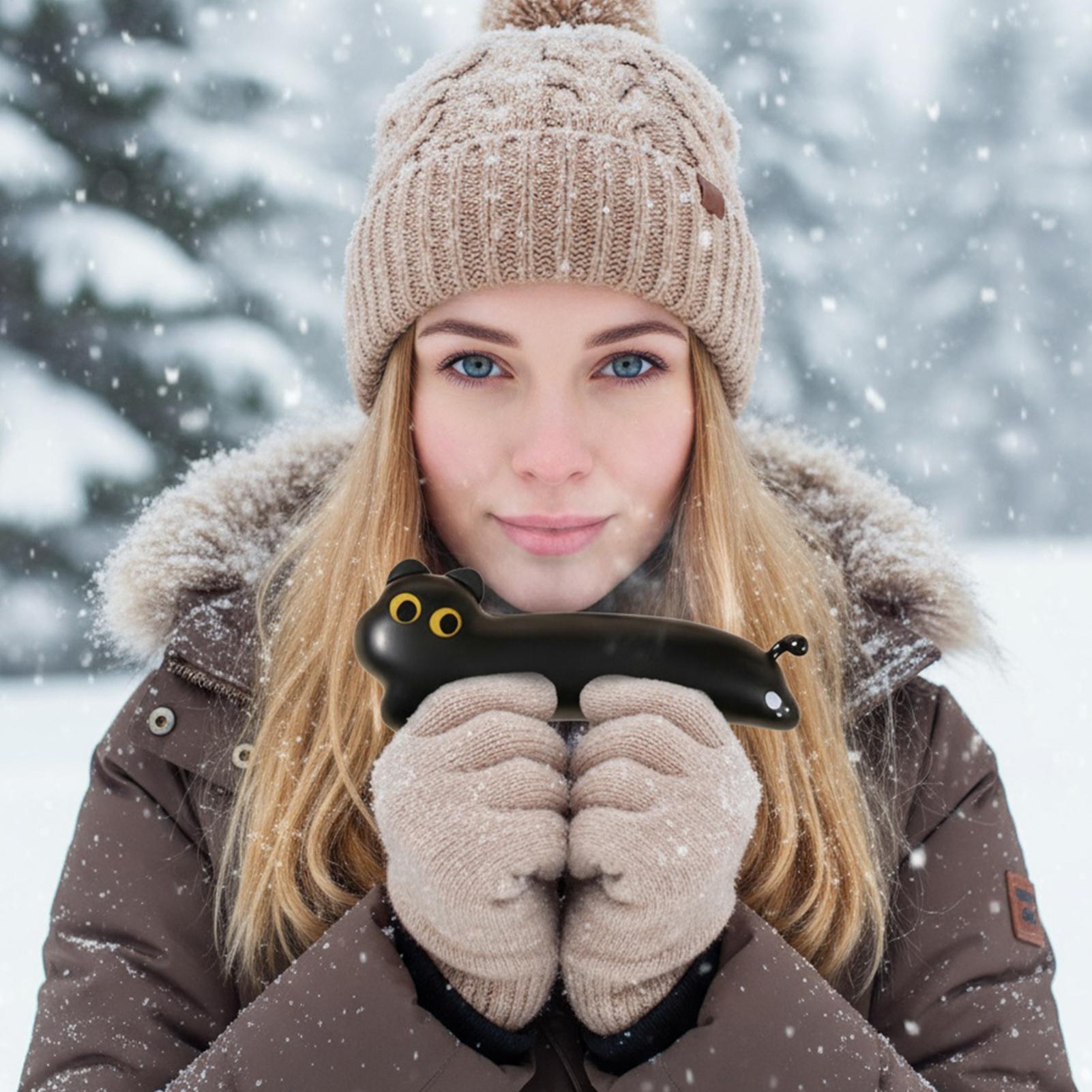 電気ハンドウォーマー 3 レベル両面ポータブルポケットヒータ - Hand Warmer Electric のレビューと価格
